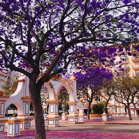 Higueronrentals Casa Mar דירה